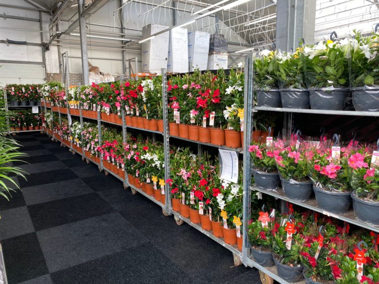 Home & Garden Fair - Vireo plant sales