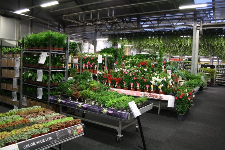 Home & Garden Fair 2026 - Vireo