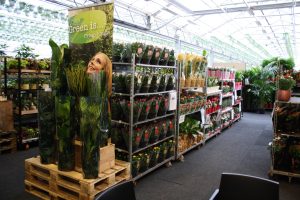 Vireo Retail Fair 2026